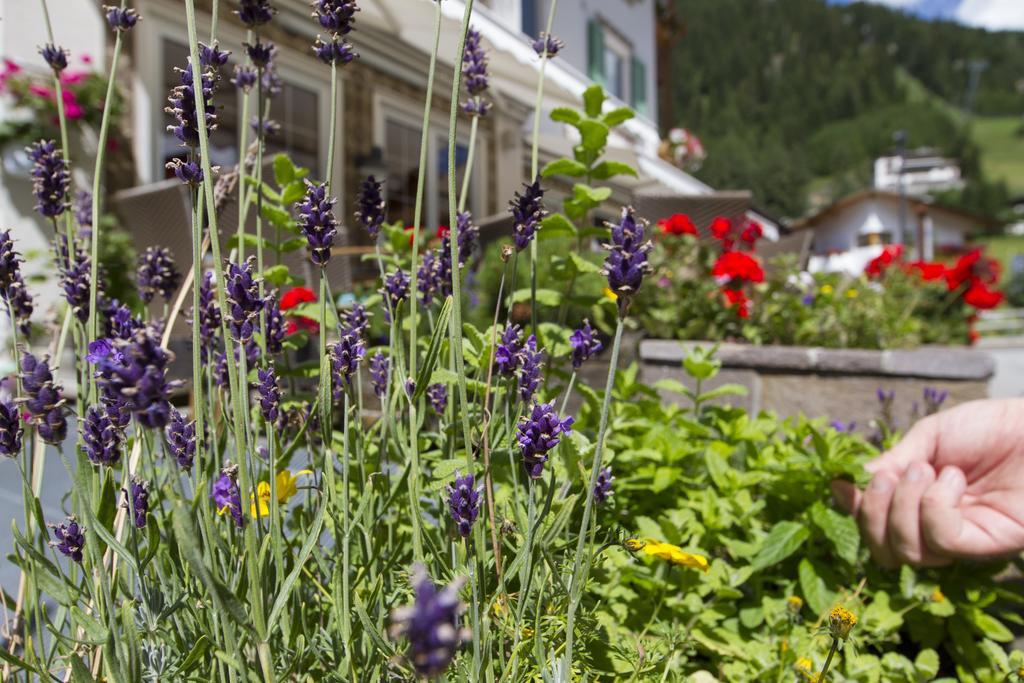 Chalet Madrisa Corvara In Badia Eksteriør bilde